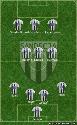 Sandecja Nowy Sacz Formation 2012