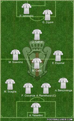 Pro Vercelli Formation 2012