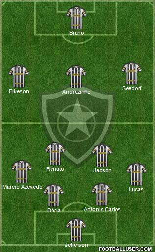 Botafogo FR Formation 2012