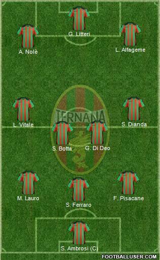 Ternana Formation 2012