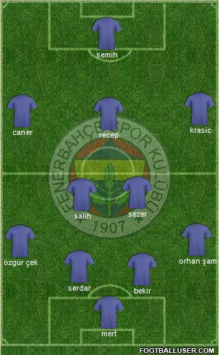 Fenerbahçe SK Formation 2012