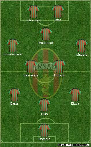 Ternana Formation 2012