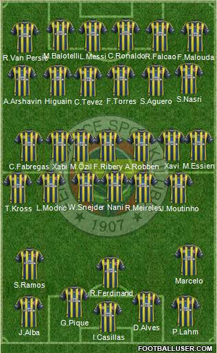 Fenerbahçe SK Formation 2012