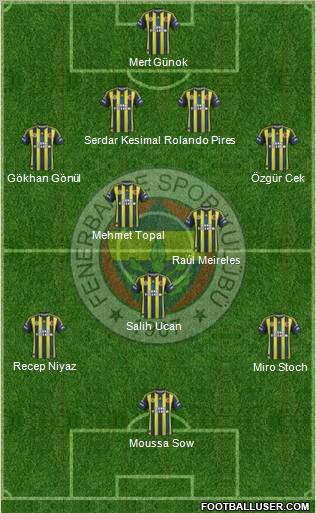 Fenerbahçe SK Formation 2012