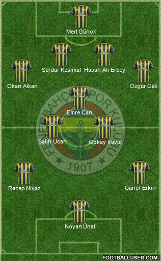 Fenerbahçe SK Formation 2012