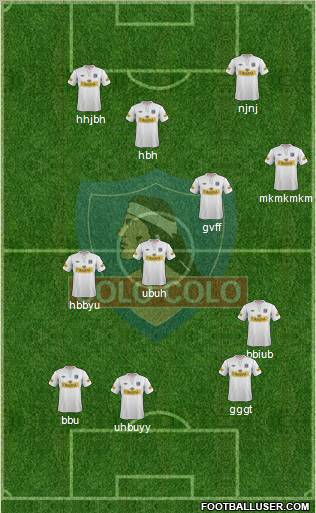 CSD Colo Colo Formation 2012