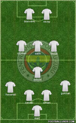 Fenerbahçe SK Formation 2012
