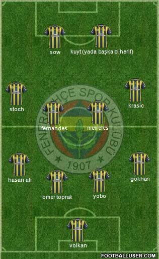 Fenerbahçe SK Formation 2012