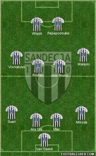 Sandecja Nowy Sacz Formation 2012