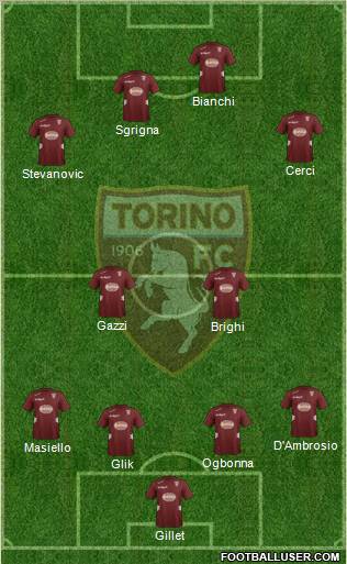 Torino Formation 2012