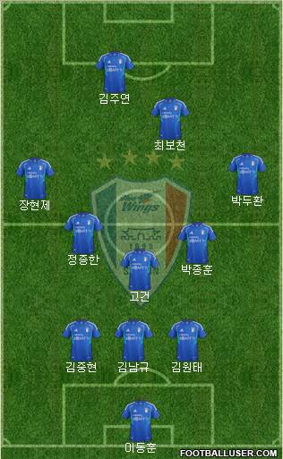 Suwon Samsung Blue Wings Formation 2012