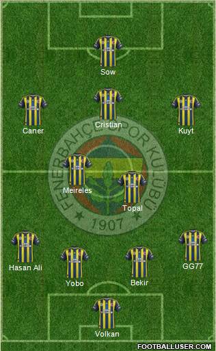 Fenerbahçe SK Formation 2012