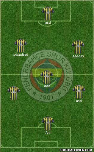 Fenerbahçe SK Formation 2012