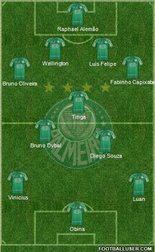 SE Palmeiras Formation 2012