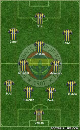 Fenerbahçe SK Formation 2012