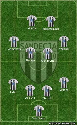 Sandecja Nowy Sacz Formation 2012