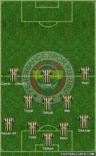 Fenerbahçe SK Formation 2012