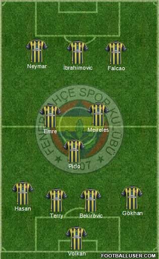 Fenerbahçe SK Formation 2012