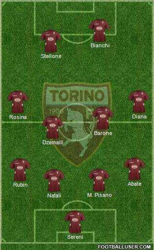 Torino Formation 2012