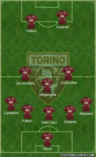Torino Formation 2012