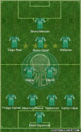 SE Palmeiras Formation 2012