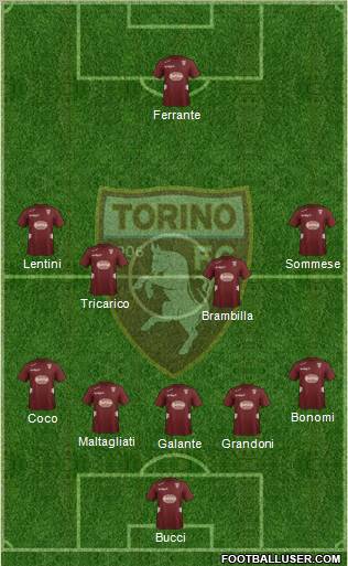 Torino Formation 2012