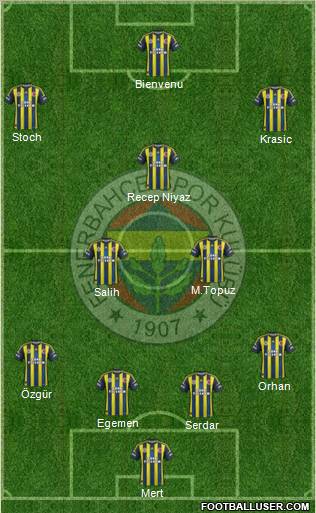 Fenerbahçe SK Formation 2012