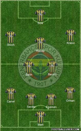 Fenerbahçe SK Formation 2012