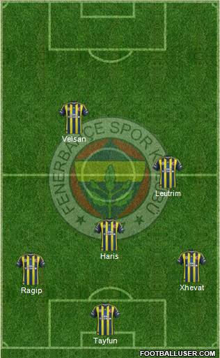 Fenerbahçe SK Formation 2012
