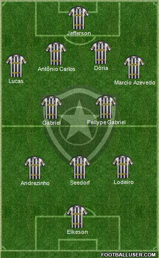 Botafogo FR Formation 2012