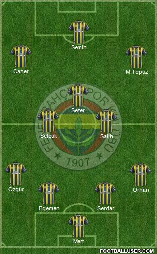 Fenerbahçe SK Formation 2012