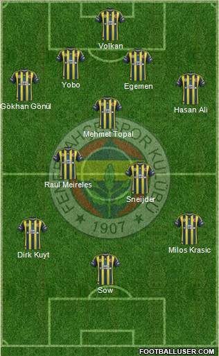 Fenerbahçe SK Formation 2012