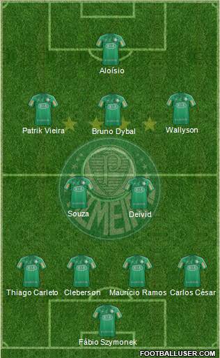 SE Palmeiras Formation 2012