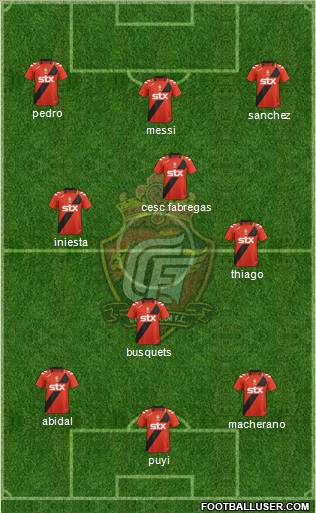 Gyeongnam FC Formation 2012