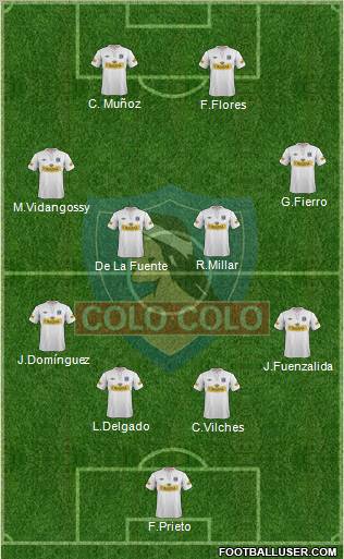 CSD Colo Colo Formation 2012