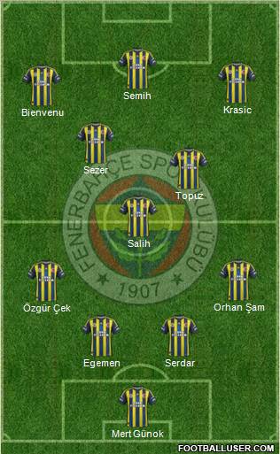 Fenerbahçe SK Formation 2012