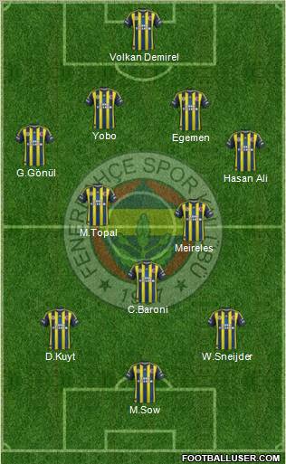 Fenerbahçe SK Formation 2012