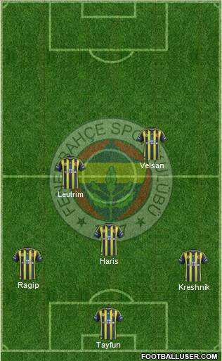 Fenerbahçe SK Formation 2012