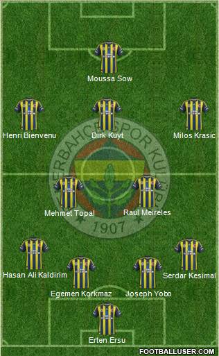 Fenerbahçe SK Formation 2012