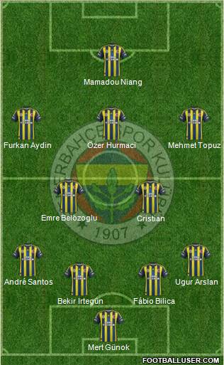 Fenerbahçe SK Formation 2012