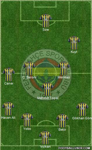 Fenerbahçe SK Formation 2012