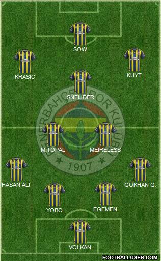 Fenerbahçe SK Formation 2012