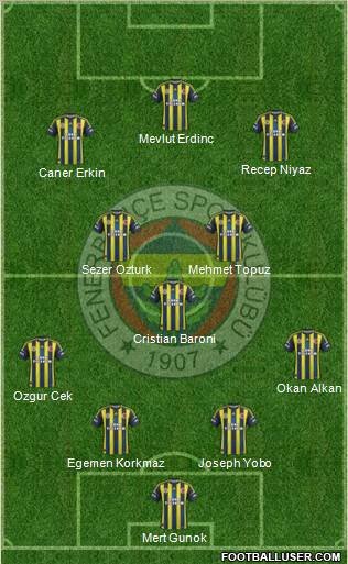 Fenerbahçe SK Formation 2012