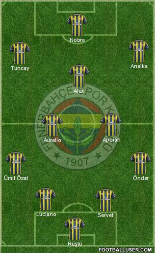 Fenerbahçe SK Formation 2012
