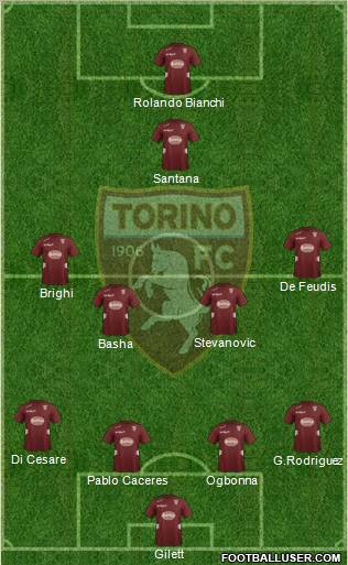Torino Formation 2012