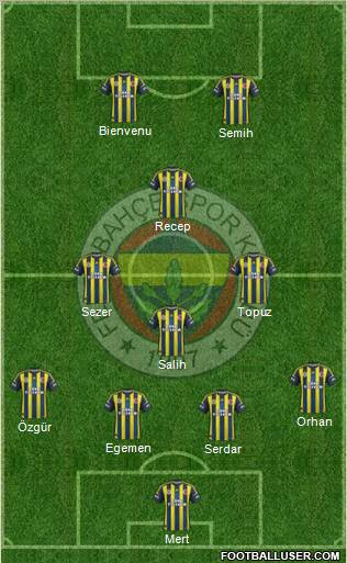 Fenerbahçe SK Formation 2012