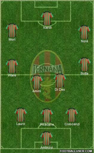 Ternana Formation 2012