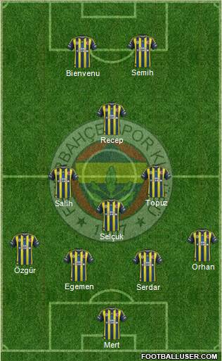 Fenerbahçe SK Formation 2012