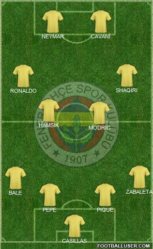 Fenerbahçe SK Formation 2012