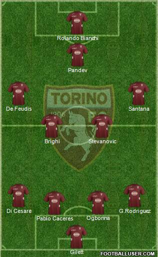 Torino Formation 2012